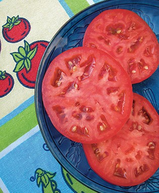 Red Beefsteak Heirloom Tomato